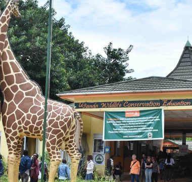 Entebbe Day Tour – A Breath of Nature by the Lake Entebbe Day Tour – A Breath of Nature by the Lake