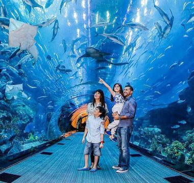 4 Nights / 5 Days Dubai Discovery Package 4 Nights / 5 Days Dubai Discovery Package